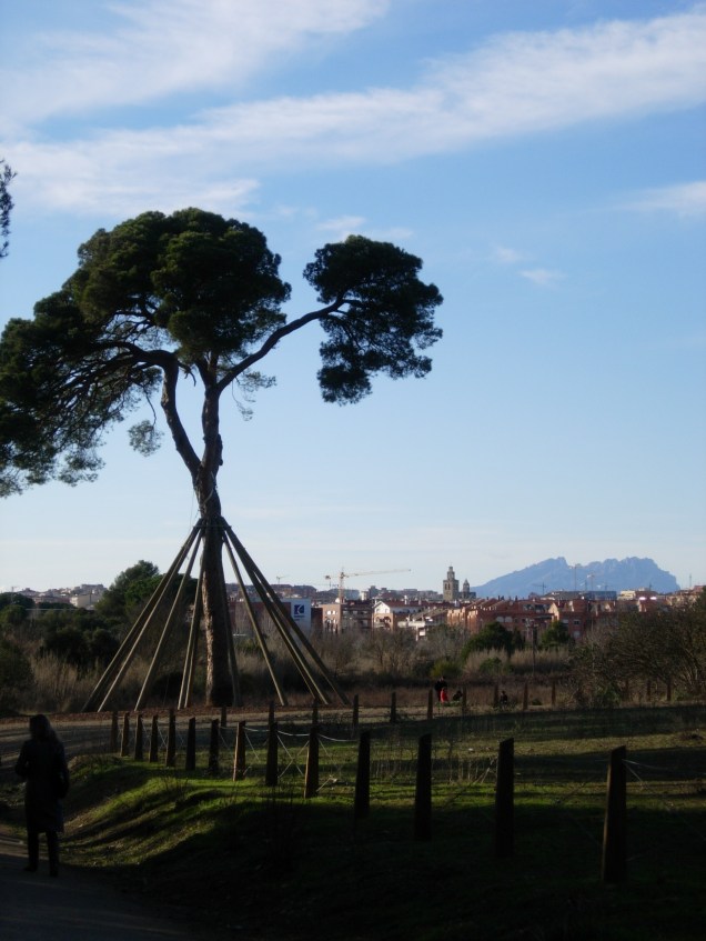 On the stroll after calçots