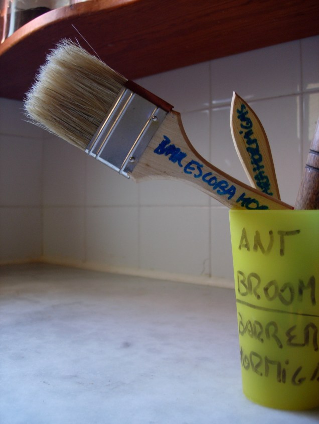 Non-harming + pest control = "Escoba de Hormigas":  Ant Broom.
