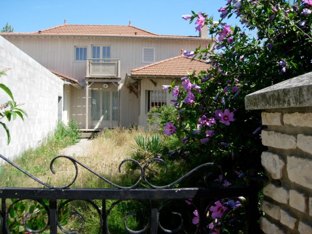 house with purple flowers